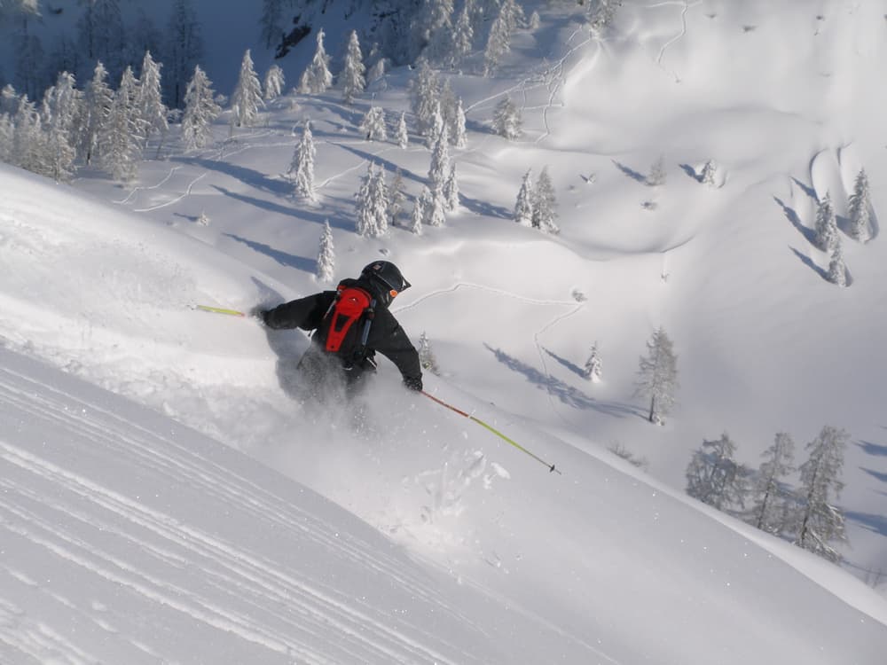 Alpine Powder Skier by Cedric Popp — canvas wall art