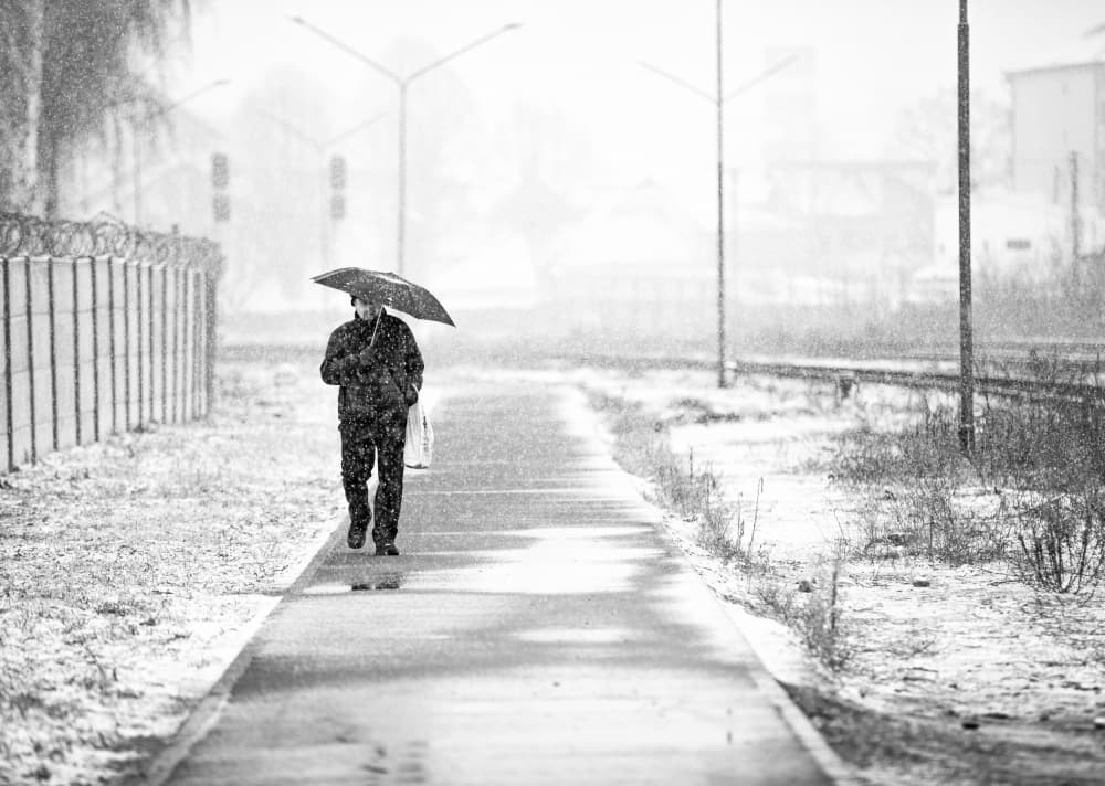 Snow umbrella by Julien Oncete — canvas wall art