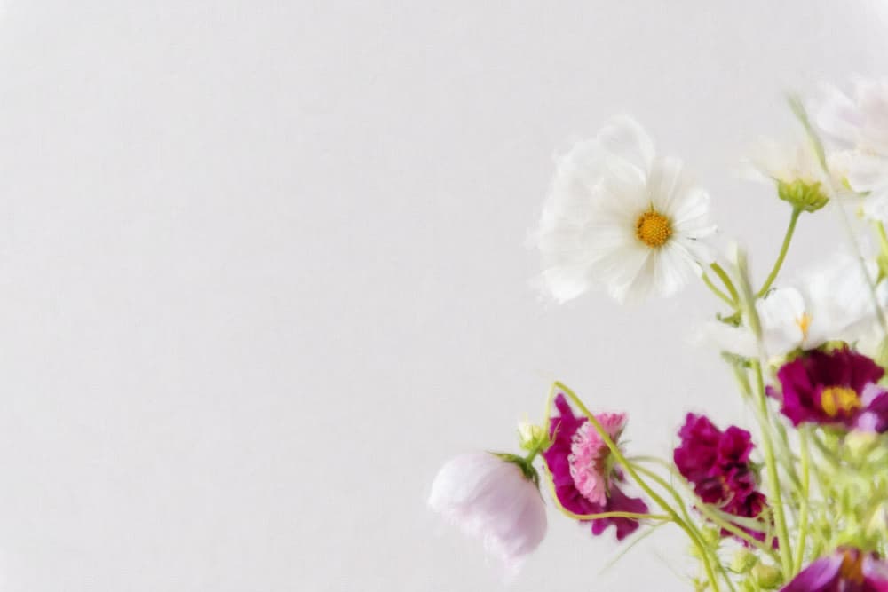 Soft Summer Blooms by Lynann Colligan — canvas wall art
