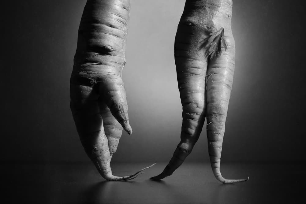 Dancing Carrot Couple by Victoria  Glinka — canvas wall art