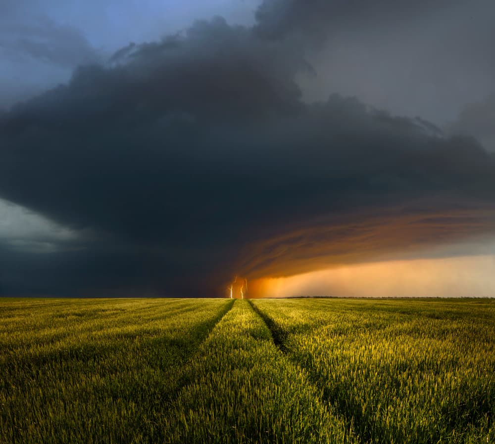 Lightning Storm Over Field by Nicolas Schumacher — canvas wall art
