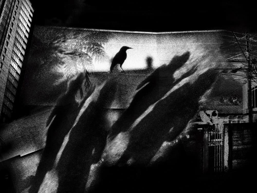 Night Crow Shadows by Holger Goehler — canvas wall art