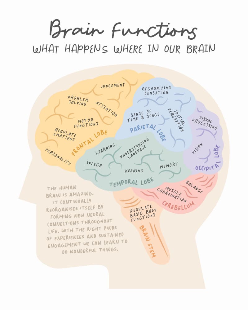 Understanding Brain Functions by KsanaKalpa — canvas wall art