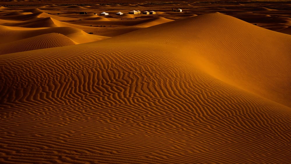 Golden Desert Dunes by Martin Steeb — canvas wall art