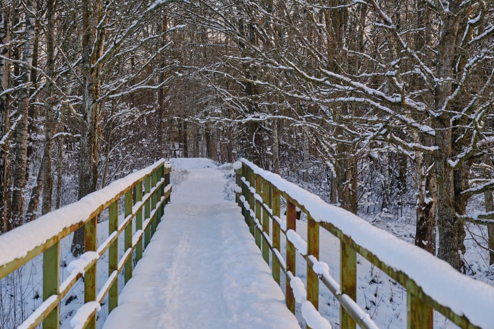 Snowy Forest Bridge by Geertjan Plooijer — canvas wall art