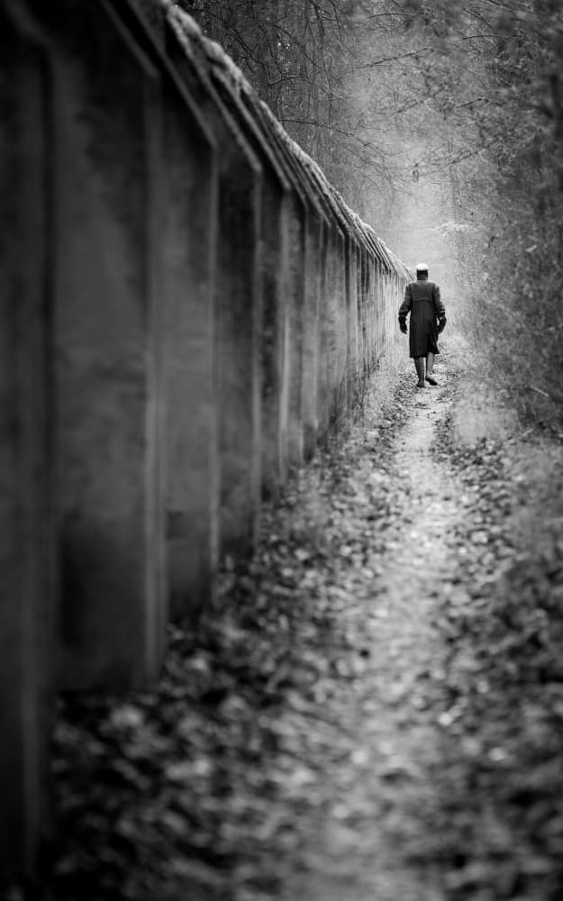 Man Walking Forest Path by Andy Dauer — canvas wall art