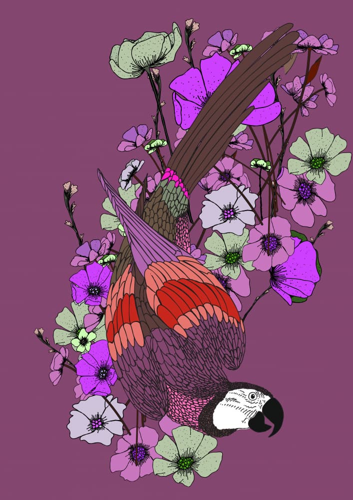 Vibrant Floral Parrot by Nicholas — canvas wall art