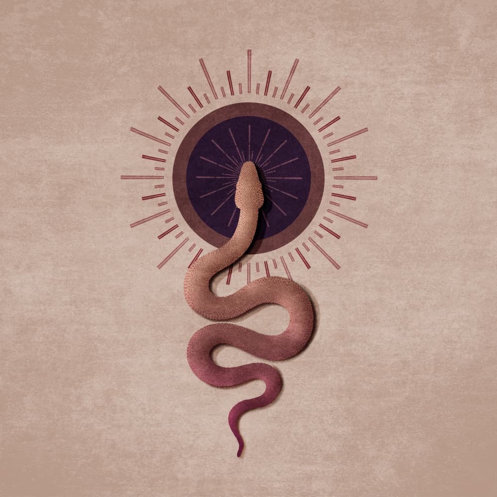 Serpent Radiance by Emel Tunaboylu — canvas wall art