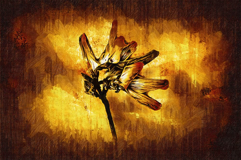 Rustic Golden Flower Painting by Rafal Kulik — canvas wall art