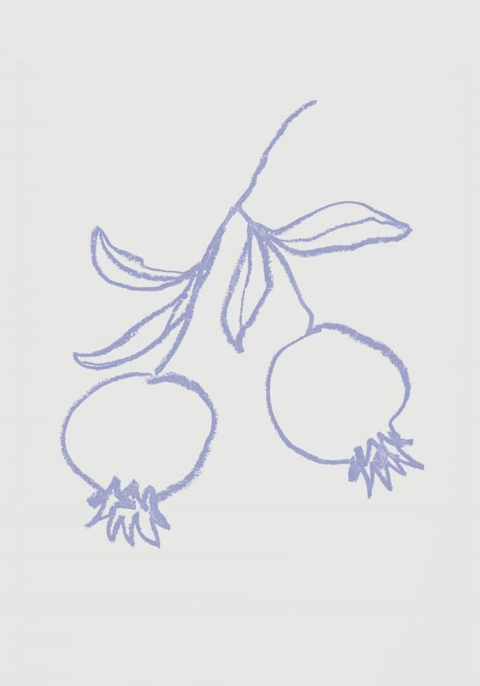 Purple Pomegranate Branch by Pictufy Studio — canvas wall art