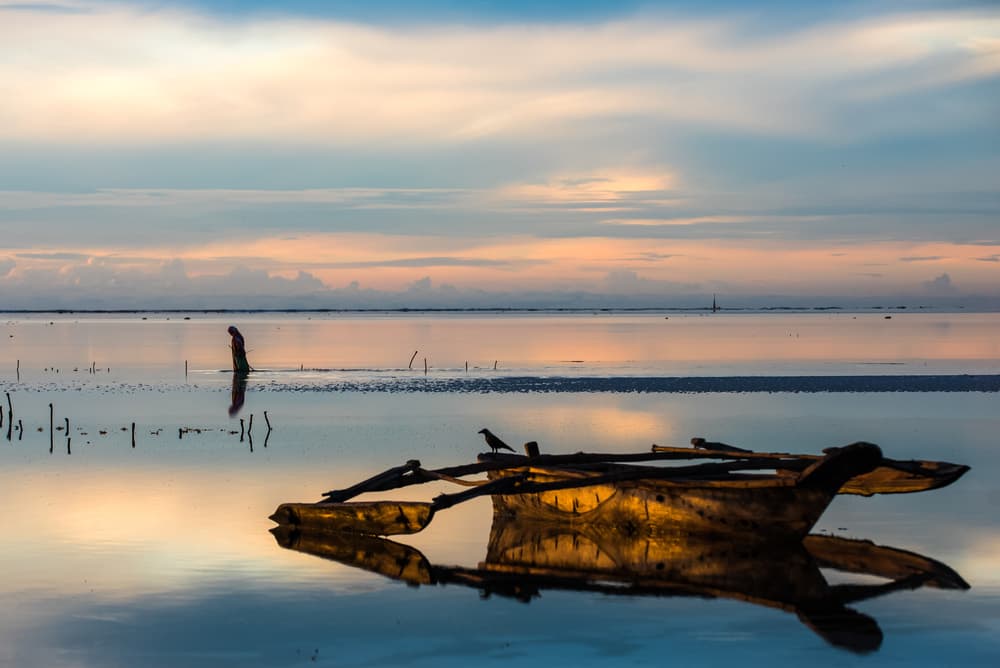 Serene Golden Water Reflections by Anca Milushev — canvas wall art