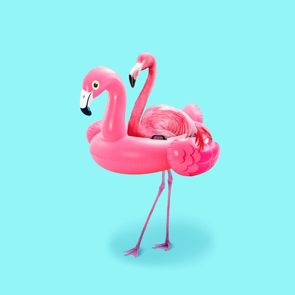 Pink Flamingo Float by Artem Pozdniakov — canvas wall art