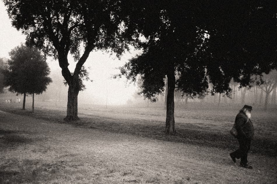 Lone Figure Misty Morning by Fulvio Pellegrini — canvas wall art