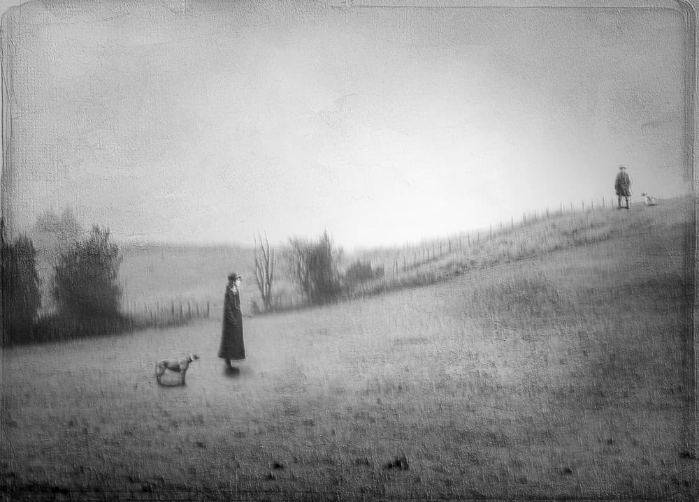 Solitary Walk in Misty Field by Amer Jassim — canvas wall art