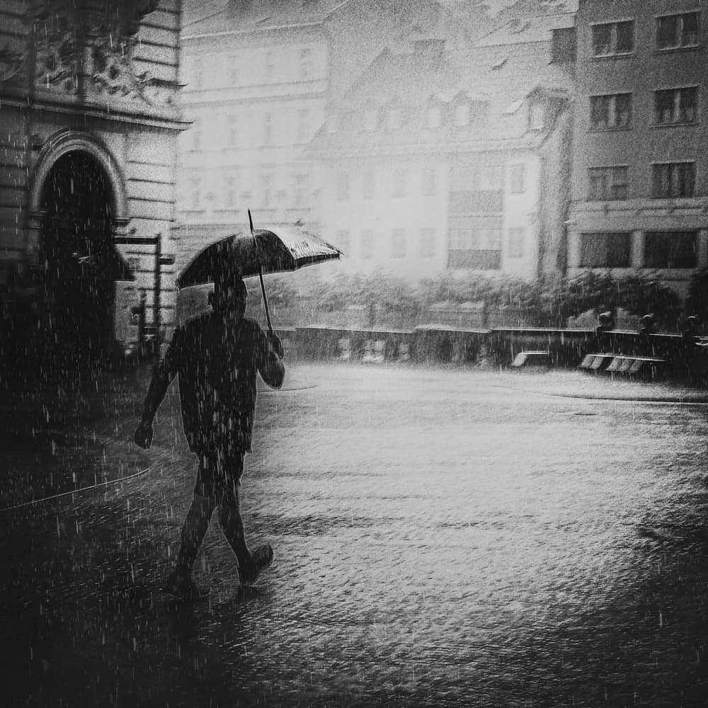 Solitary Rainy Street by Damijan Sedevcic — canvas wall art