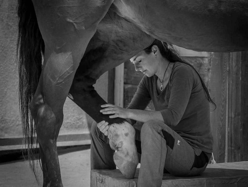 Equine Hoof Care by Sebastian Graf — canvas wall art