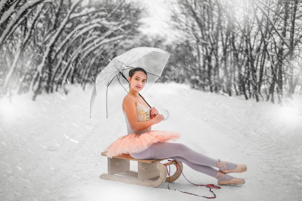 Ballerina Winter Dream by iuliana pasca — canvas wall art