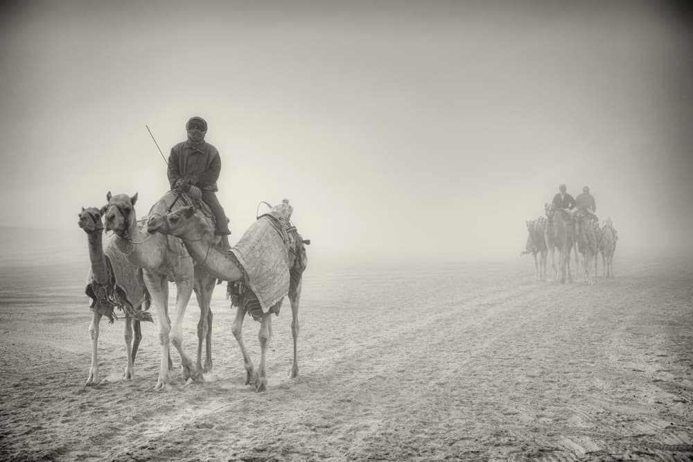 Foggy Desert Caravan by Rami Al Adwan — canvas wall art