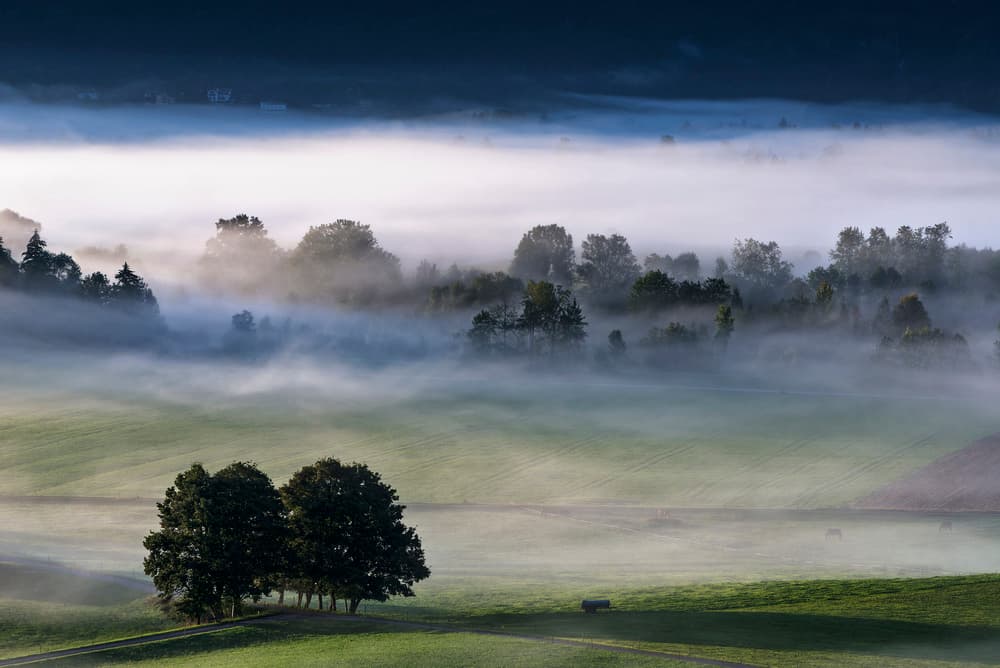 Misty Morning Landscape by Nina Pauli — canvas wall art