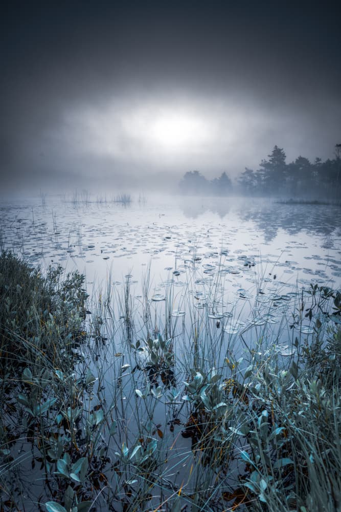 Misty Lake Morning by Benny Pettersson — canvas wall art