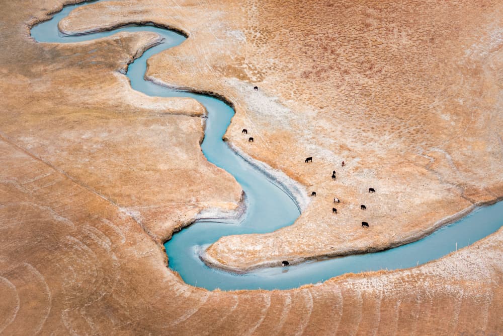 Winding Blue River Landscape by Irene Wu — canvas wall art