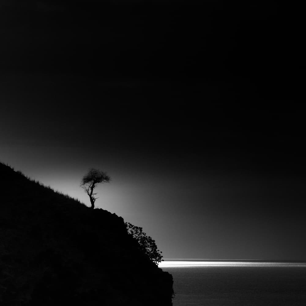 Dramatic Lone Tree Seascape by Rony Tjayana — canvas wall art
