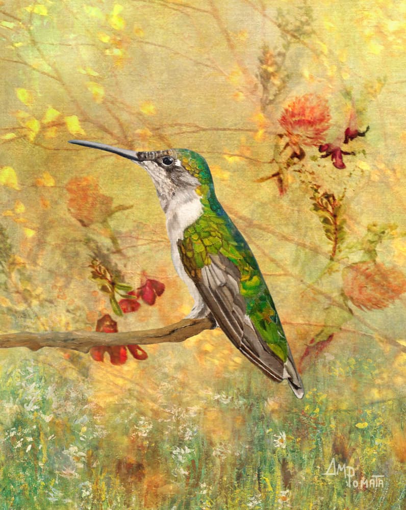 Golden Hummingbird Perch by Angeles M. Pomata — canvas wall art