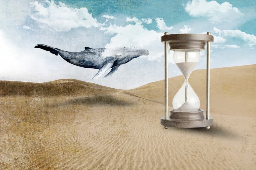 Flying Whale Desert by Rafal Kulik — canvas wall art