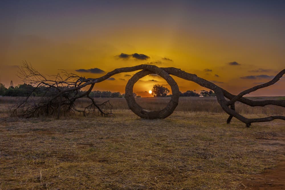 Golden Sunset Loop by Gabrielle Halperin — canvas wall art