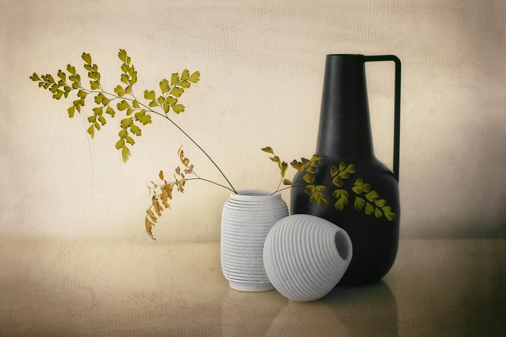Modern Vases Still Life by Elena Arjona — canvas wall art