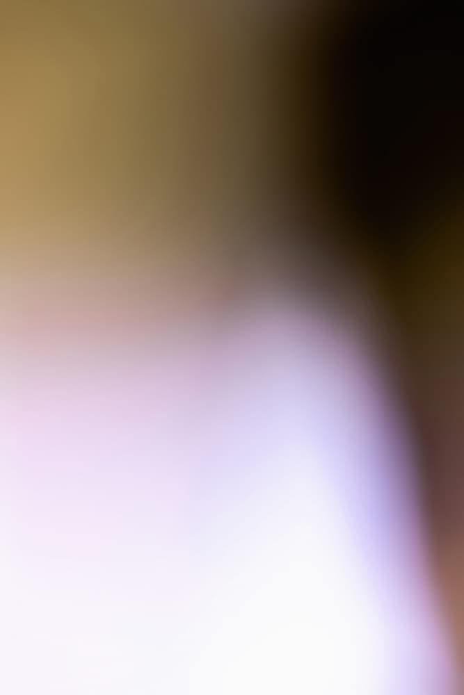 Blurred 12 by Mareike Böhmer — canvas wall art