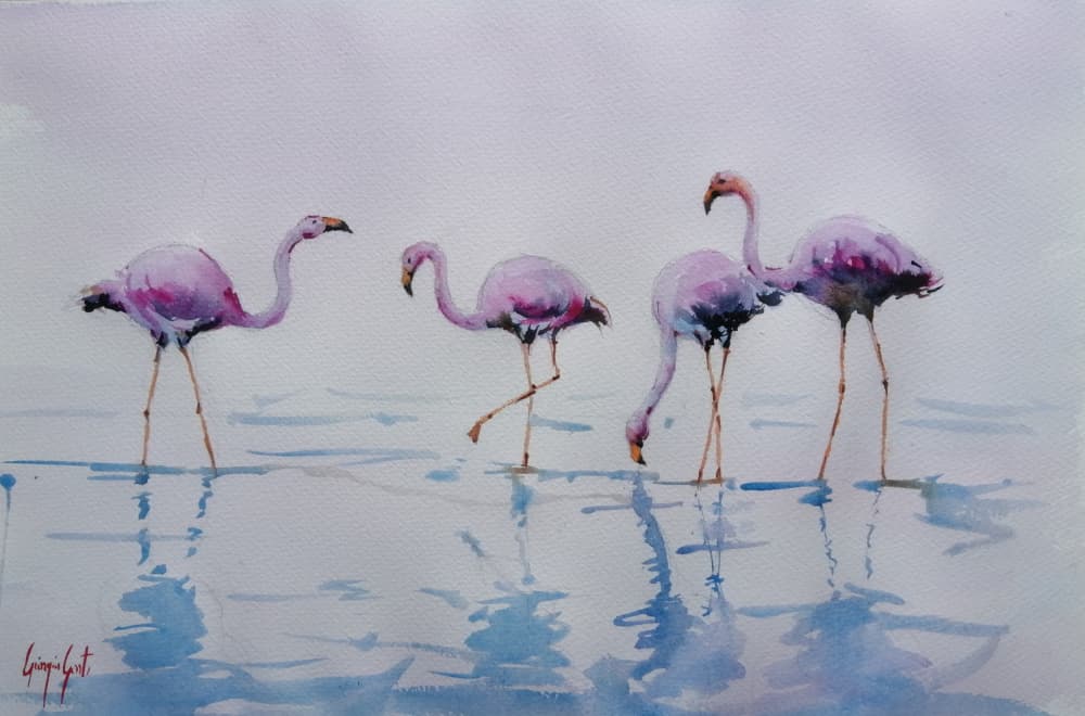 Pink Flamingos Wading by Giorgio Gosti — canvas wall art