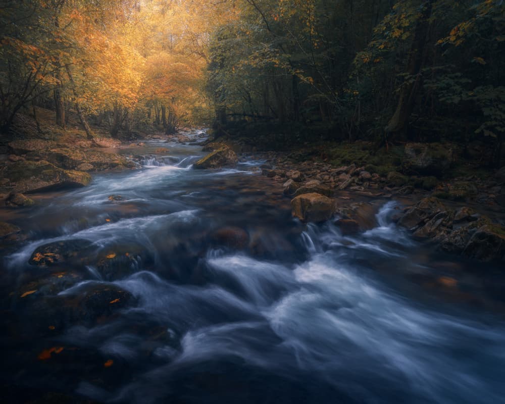 Golden Autumn River Flow by Thomas de Franzoni — canvas wall art
