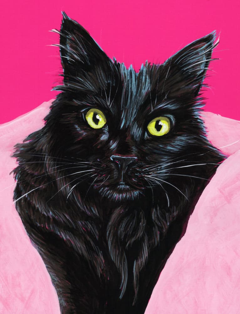 Vibrant Black Cat Portrait by Renee Machan Cottagecore Artist — canvas wall art