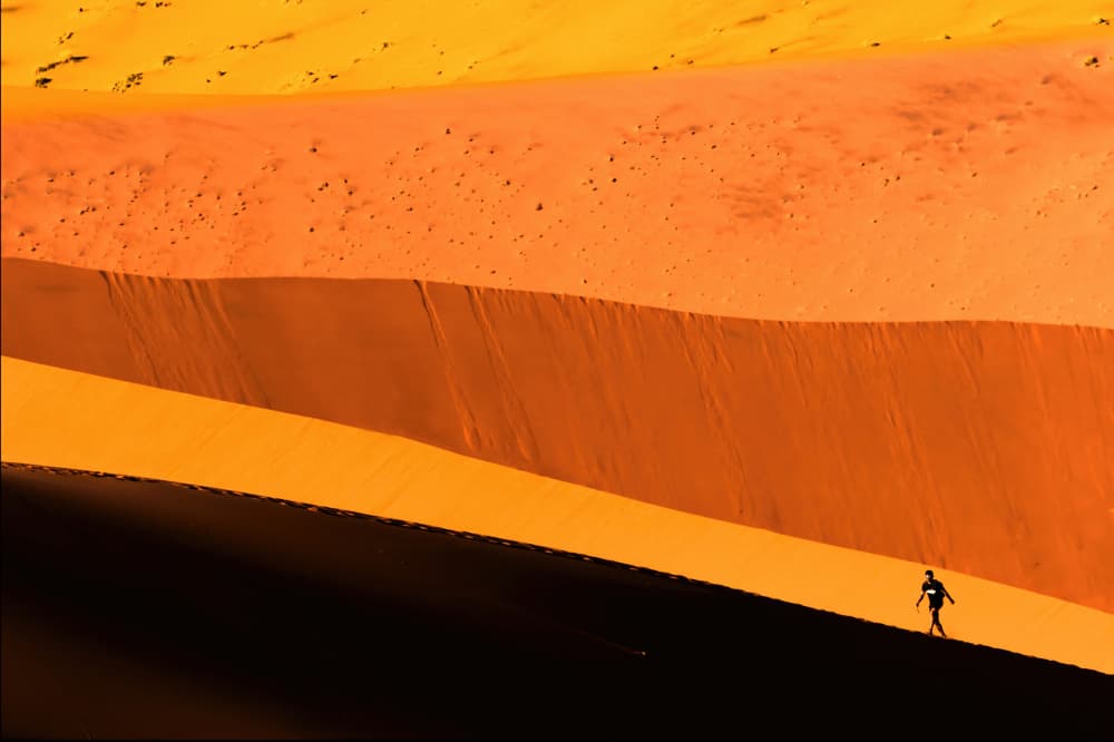 Golden Dune Wanderer by Jie Jin — canvas wall art