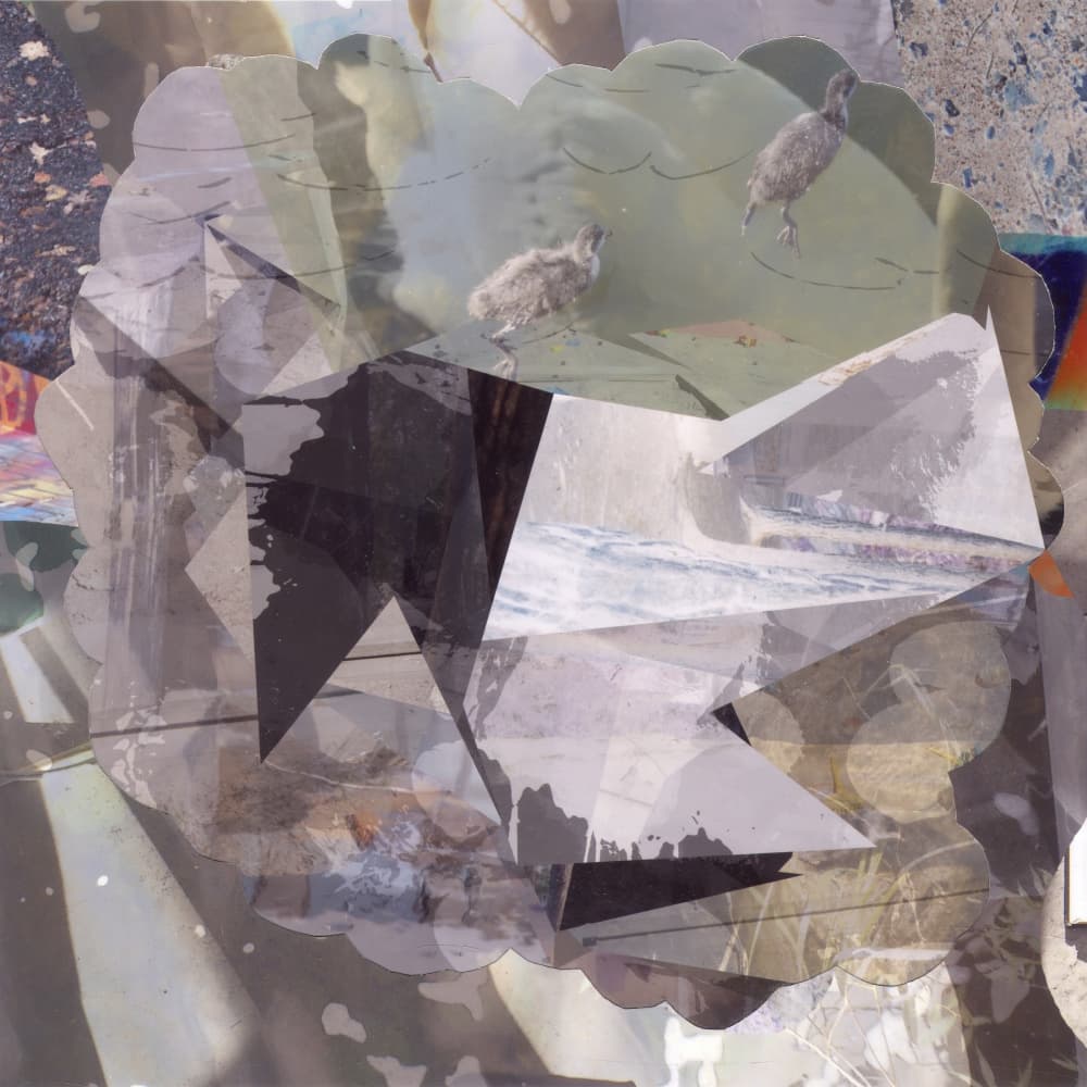 Layered Abstract Birds by Stefan Fransson — canvas wall art