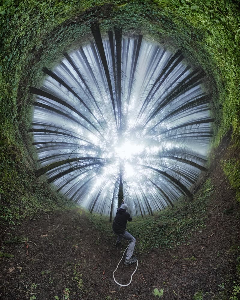 Spiral Forest Path by Francois Casanova — canvas wall art