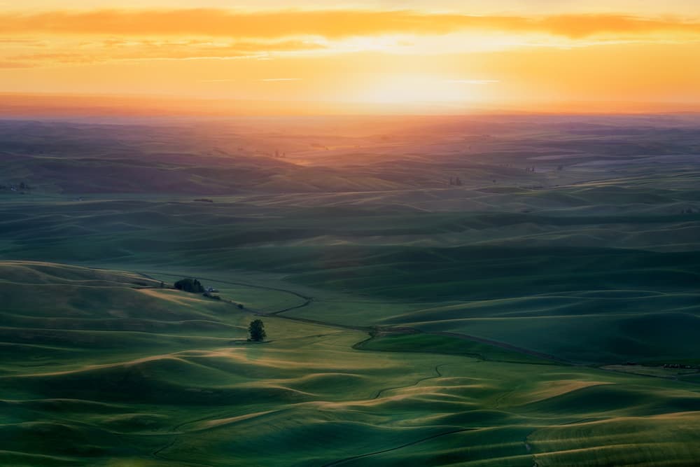 Golden Rolling Hills by Hanping Xiao — canvas wall art