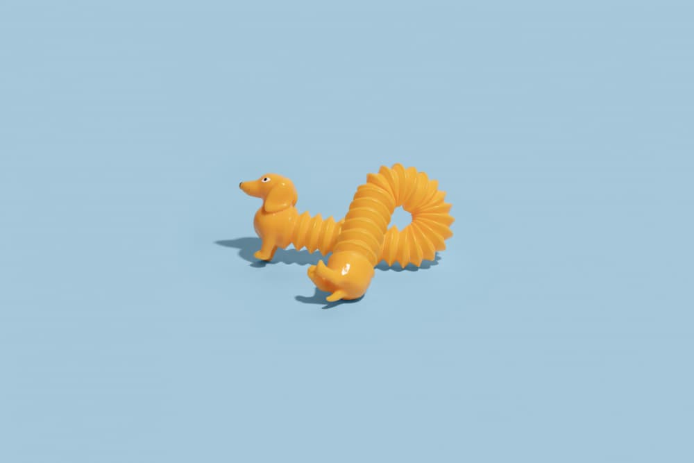 Yellow Pop Tube Dachshund by Julia Ramiro — canvas wall art