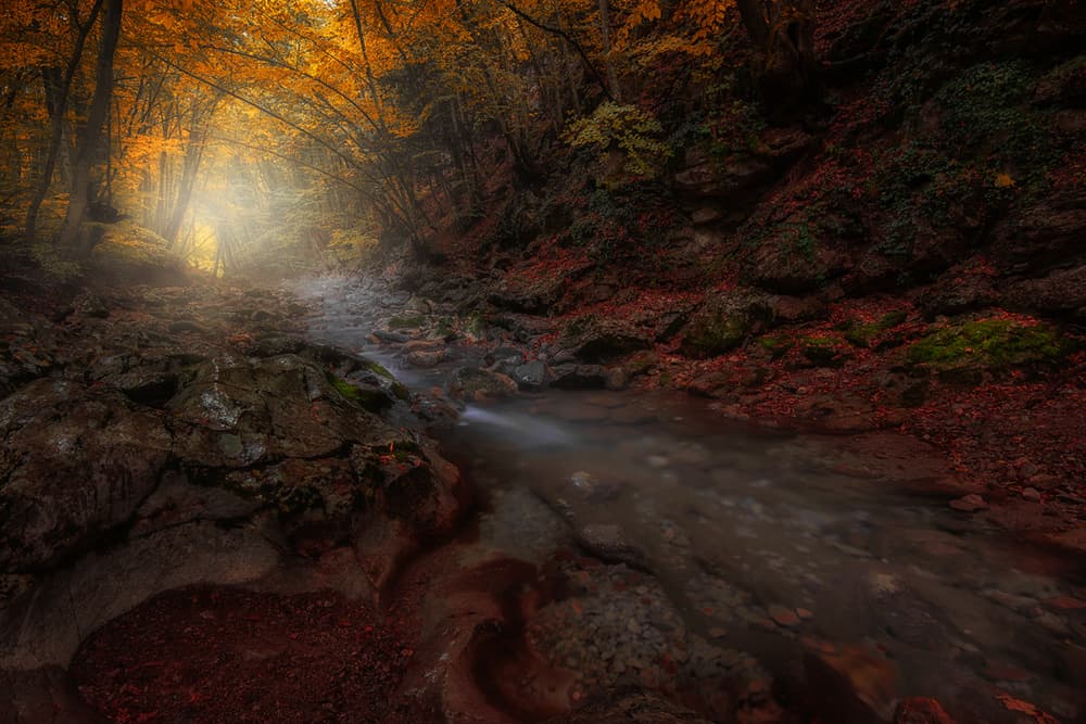 Golden Autumn Stream by Kirill Volkov — canvas wall art