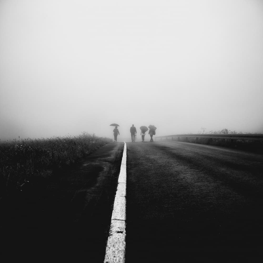Foggy Road Walkers by Robert Kuavi — canvas wall art