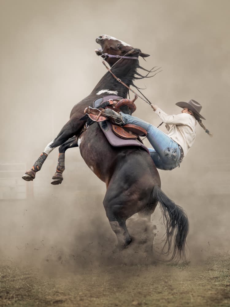 Wild Rodeo Ride by Frank Ma — canvas wall art