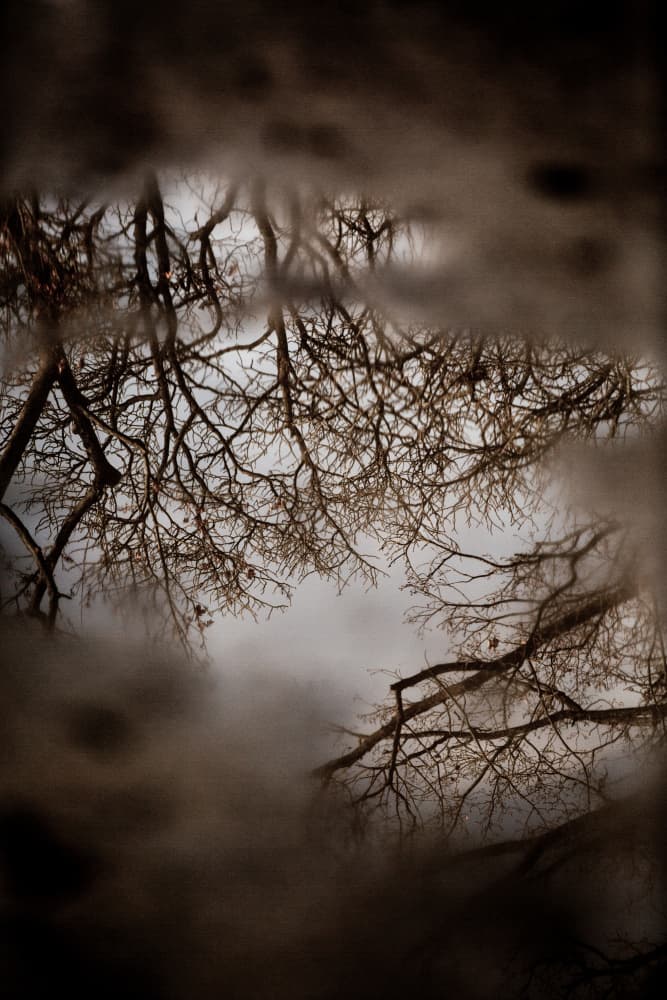 Winter Reflections by Mareike Böhmer — canvas wall art
