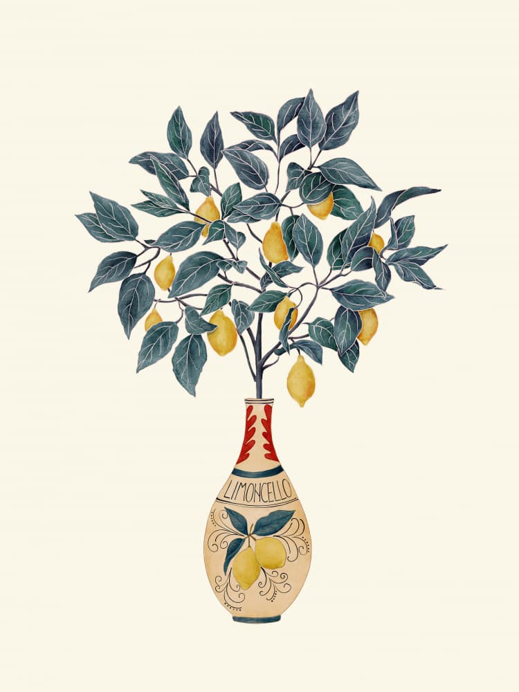 Limoncello Lemon Tree
