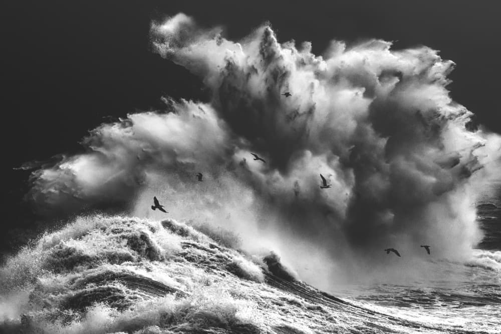 Birds Over Wild Waves by Paolo Lazzarotti — canvas wall art