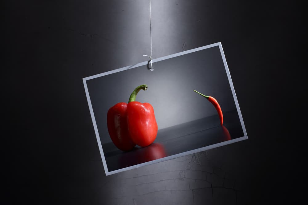 Pepper and Chili Contrast by Victoria  Glinka — canvas wall art