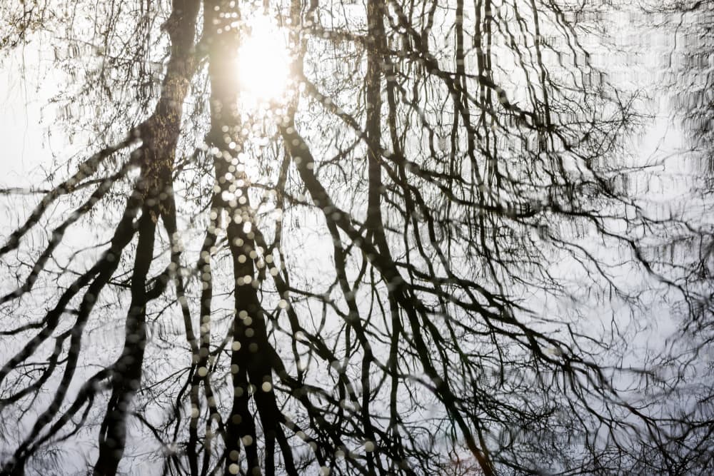 Winter Reflections 3 by Mareike Böhmer — canvas wall art