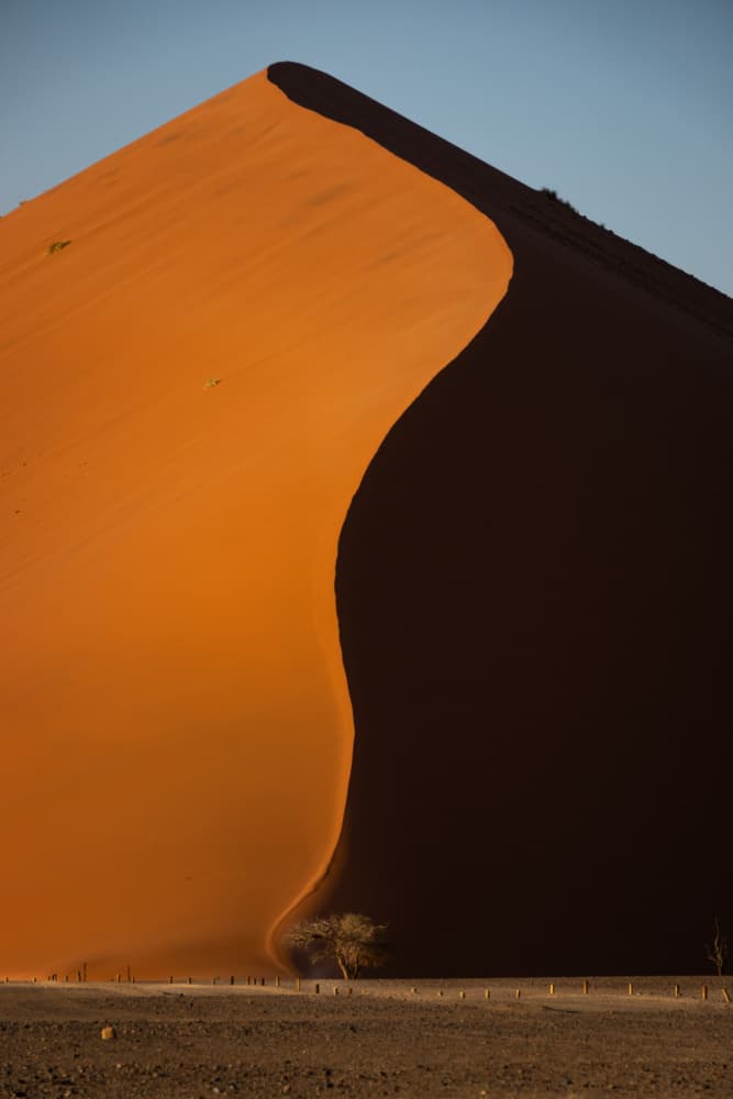 Golden Dune Shadow by carmenvillar — canvas wall art