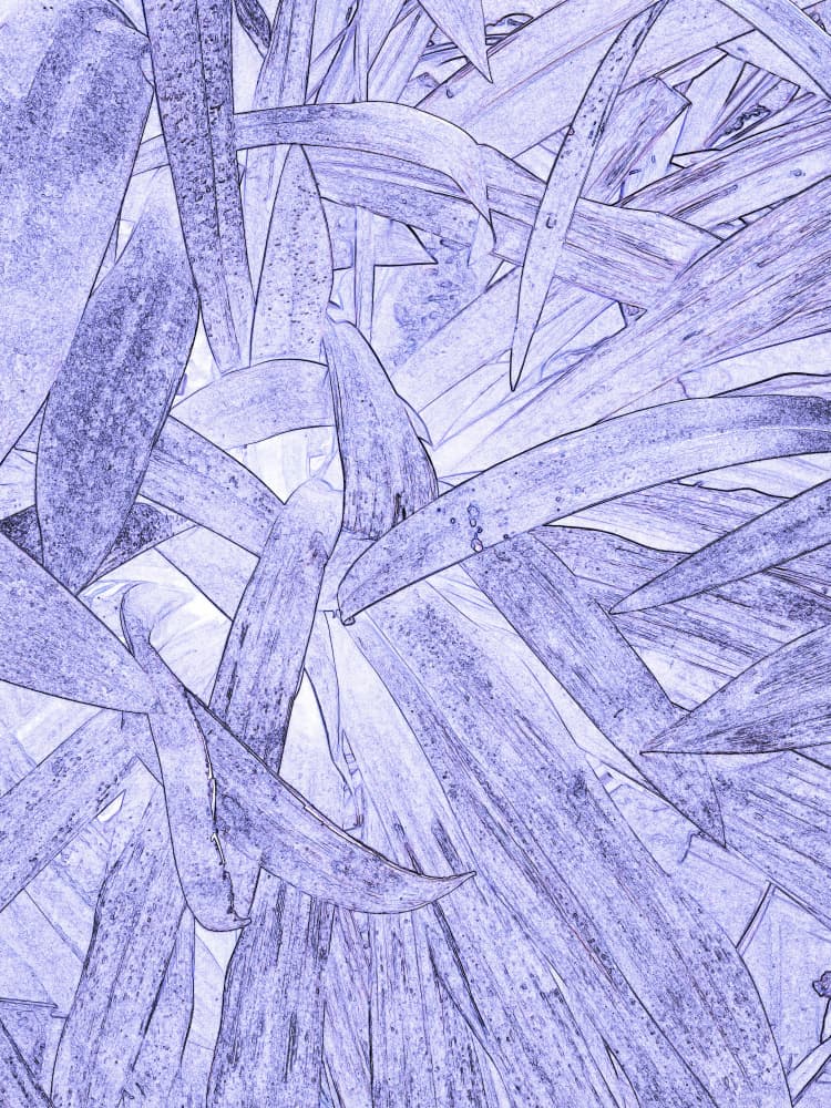Lavender Foliage Pattern by Santhosh ch — canvas wall art