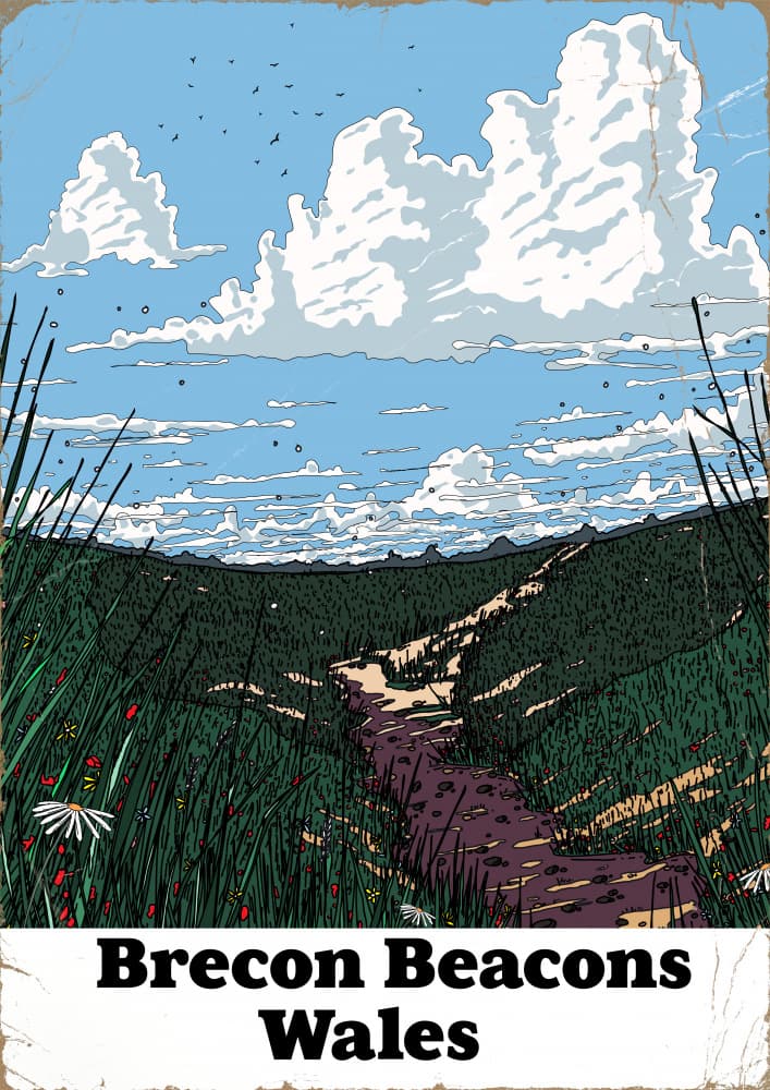 Brecon Beacons Path by Nicholas — canvas wall art
